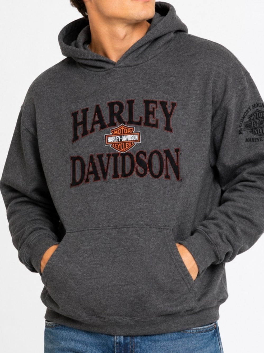 Harley Davidson Men’s Large Gray Smoky Mountain Pullover Hoodie